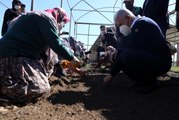 Binali Yıldırım, önce lavanta dikti ardından 4 leylek ve 1 şahini doğal yaşam alanına bıraktı