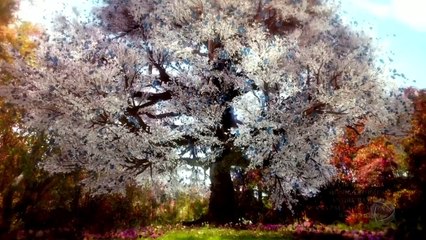 GÊNESIS  12/03/2021 Capítulo 39 Parte Única HDTV Completo