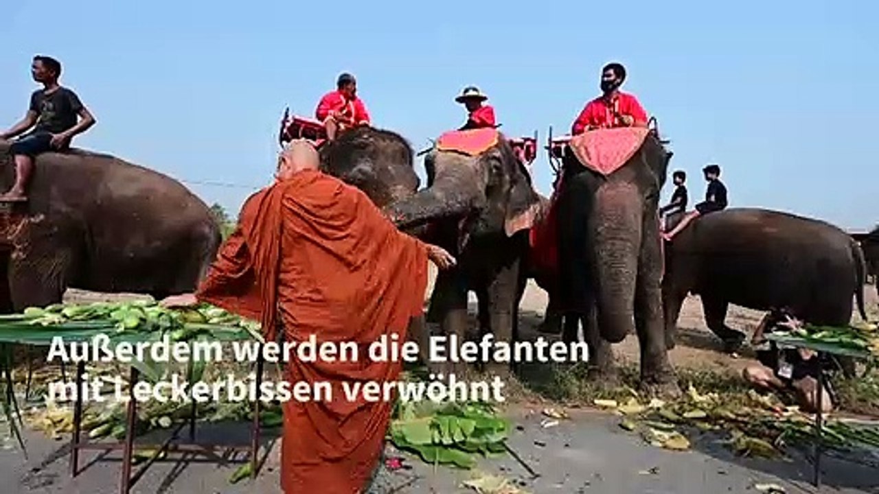 Törööö! Tag des Elefanten in Thailand