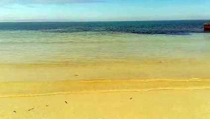 vitamin sea