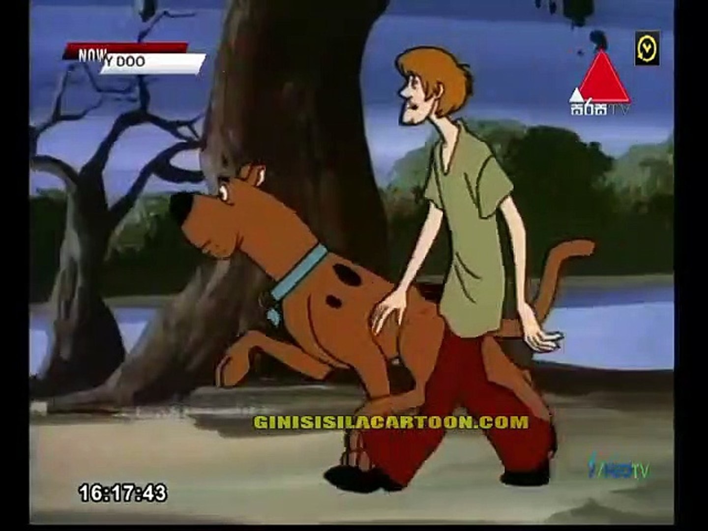 SCOOBY 20