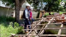 Técnicos do Crea-ES fazem vistoria em casa que desmoronou na Serra