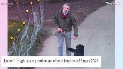 Hugh Laurie méconnaissable : barbe XL et crinière folle, son look surprend !