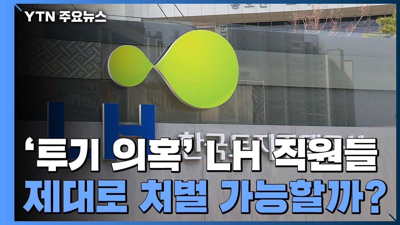 '투기 의혹' LH 직원들 제대로 처벌 가능할까? / YTN