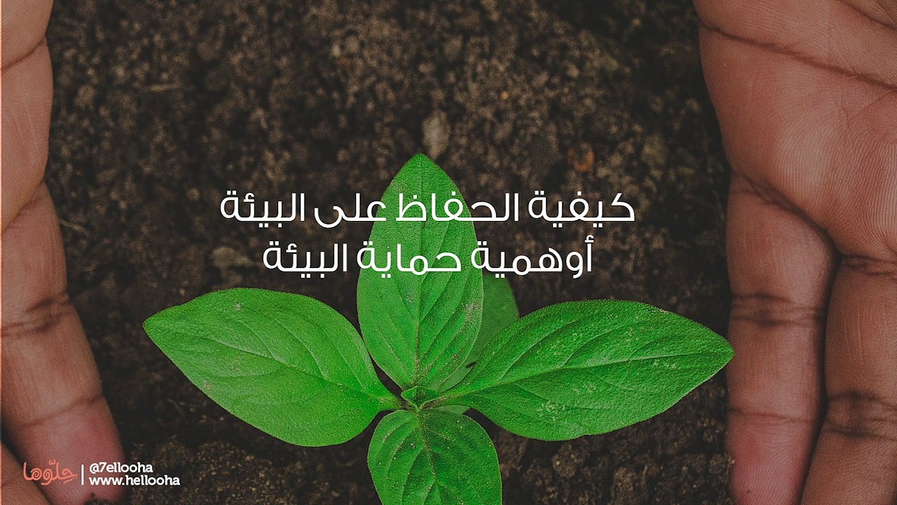 كيفية الحفاظ على البيئة أوهمية حماية البيئة