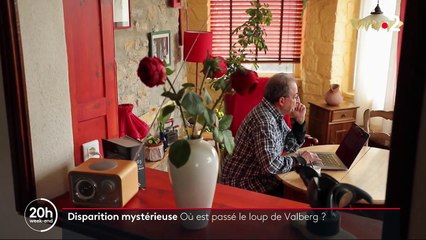 Drôme : mystère autour de la disparition du loup de Valberg