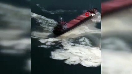 Gemlik Körfezi'nde kirlilik alarmı