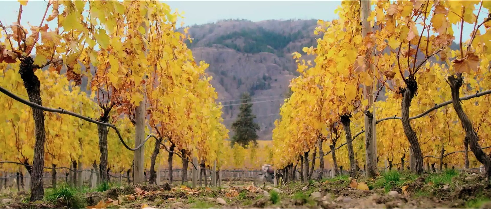 Endless Nachricht von Chris Film