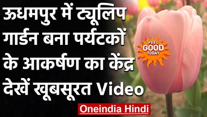 Udhampur : Tulip Garden पर्यटकों और प्रकृति प्रेमियों के लिए बना आकर्षण का केन्द्र । वनइंडिया हिंदी