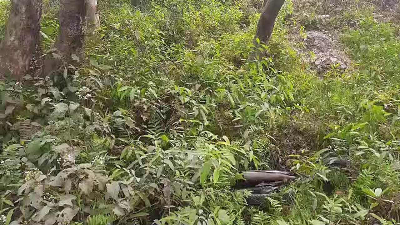 अज्ञात तेज़ रफ़्तार बोलेरो ने मोटरसाइकिल में मारी जोरदर टक्कर
