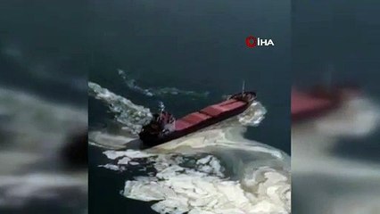 Gemlik Körfezi'nde kirlilik alarmı