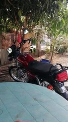 mainit kanina saamin