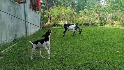 Nung ginagawa mo cutie