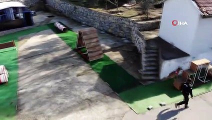 Jandarmanın süper burunları 'komando' gibi eğitiliyor