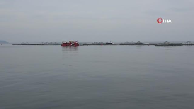 Türk somonu dünyada adından söz ettiriyor