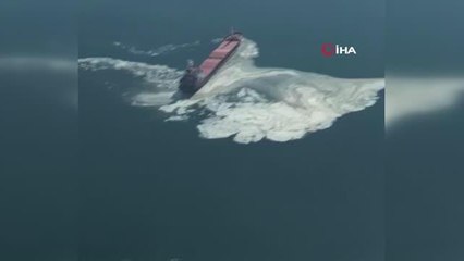 Gemlik Körfezi'nde kirliliğin sebebi anlaşıldı