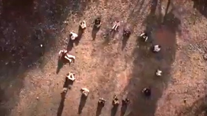 Altın madenine şarkılı tepki. "Alana yuh satana yuh"