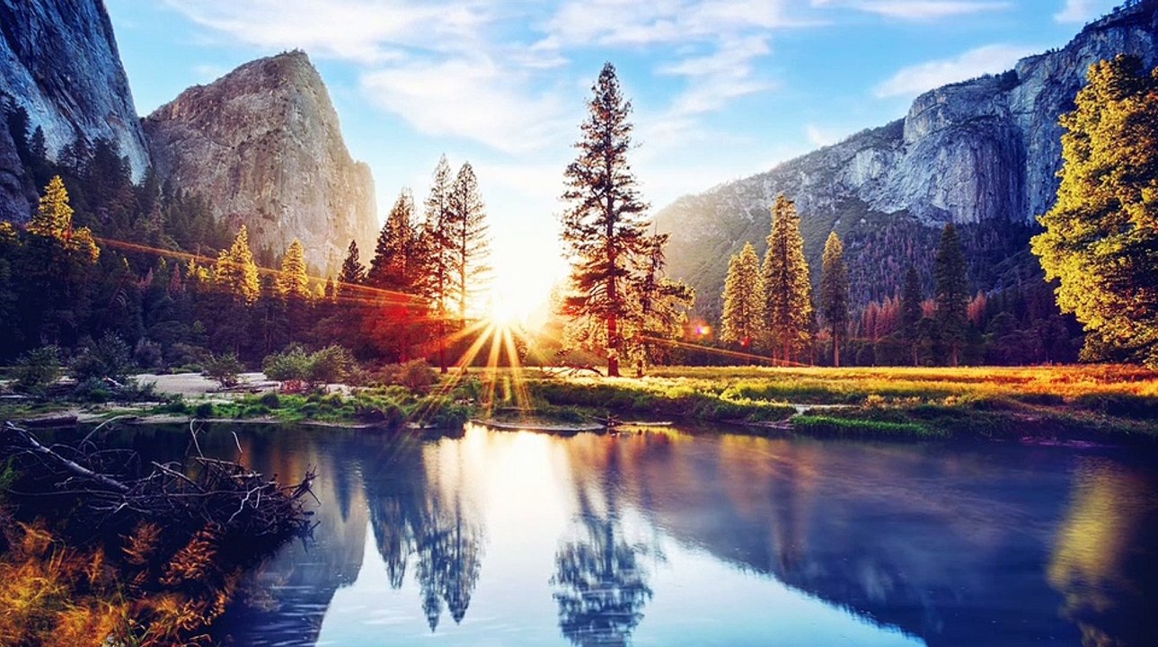 nature