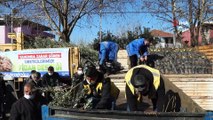 Büyükşehir’den binlerce zeytin ve incir ağacı desteği