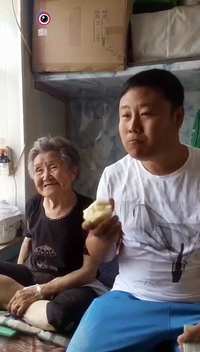 funny videos