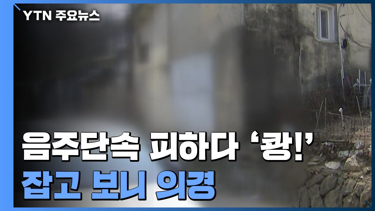 만취 운전 중 음주단속 피하다 '쾅!‘..잡고 보니 의경 / YTN