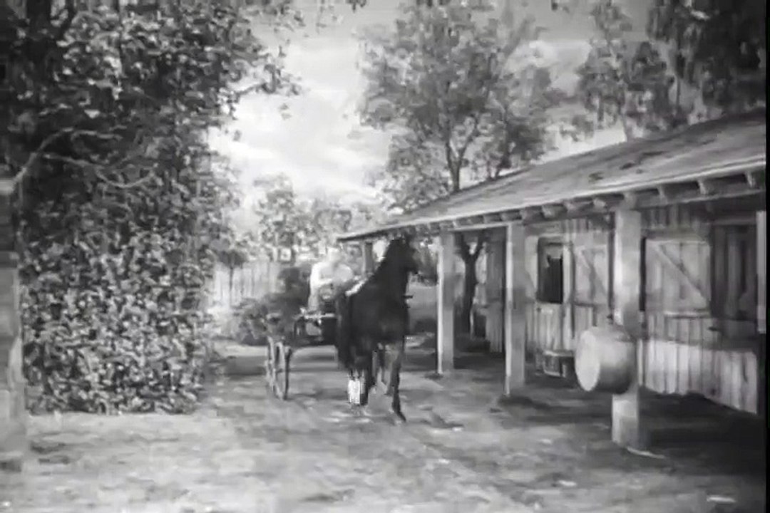 The Great Dan Patch - Full Movie | Dennis O'Keefe, Gail Russell, Ruth Warrick, Charlotte Greenwood part 1/2