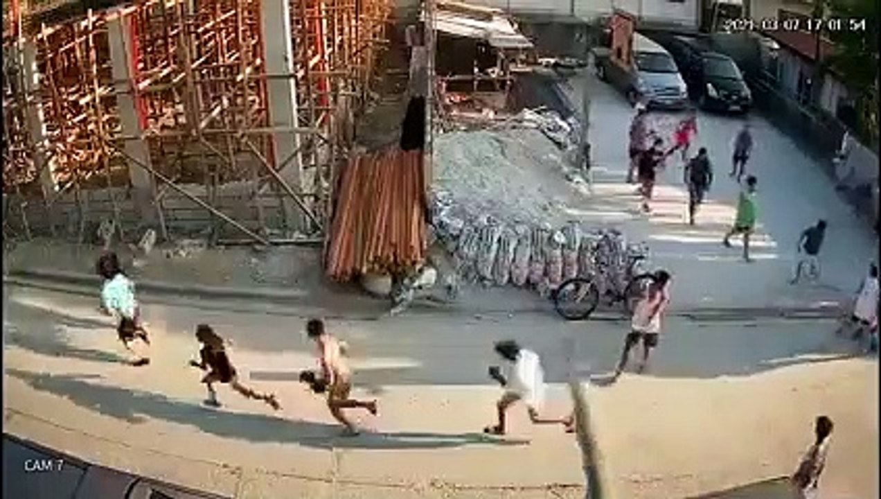 running dog