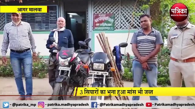 AGAR MALWA:- शिकार के बाद दावत की थी तैयारी, अमले को देख भागे शिकारी