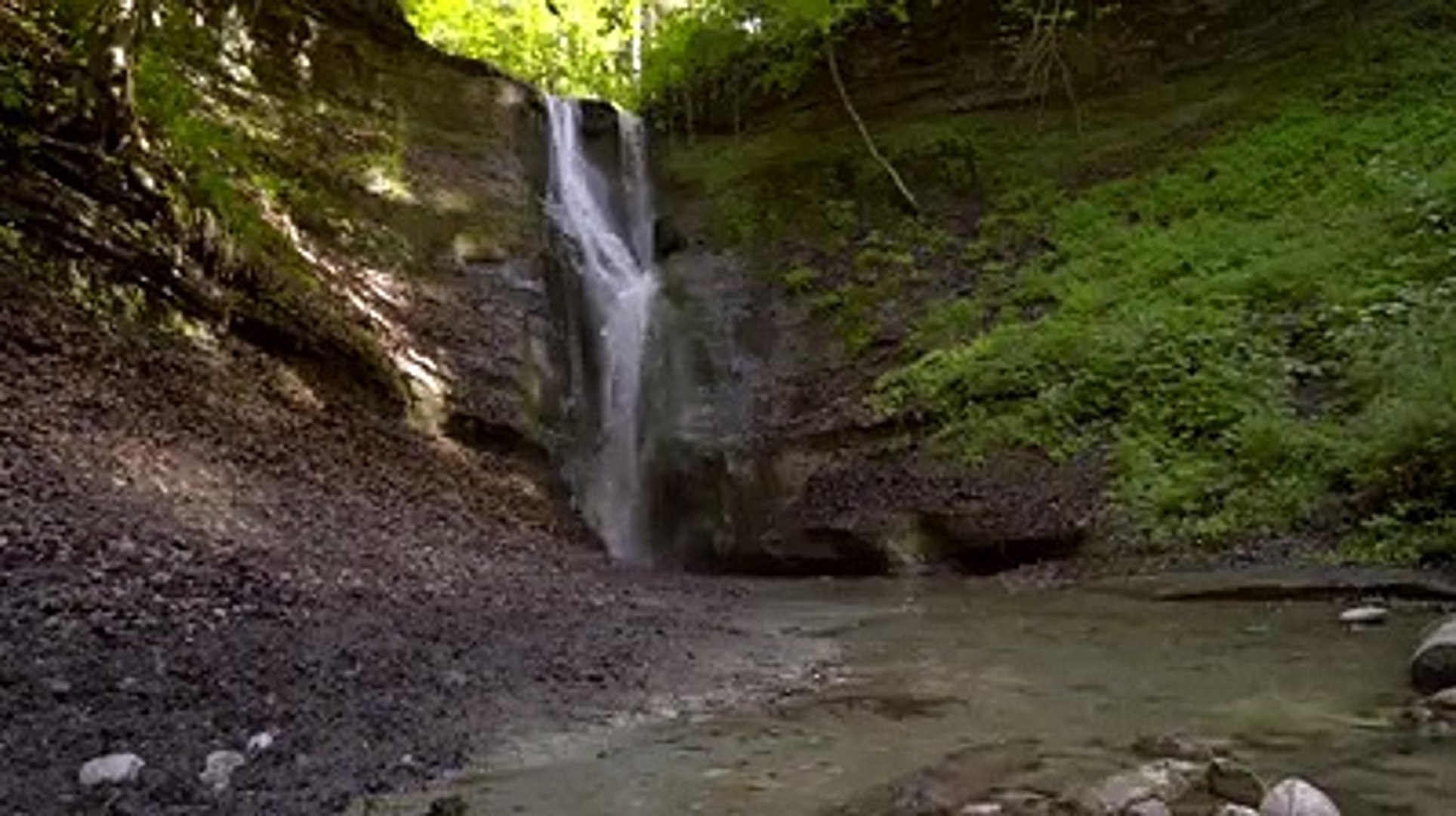 ⁣#forest birds singing--#relaxation-#soothing-music #stress#Relaxing Music #Stress #Relief #Insomnia 