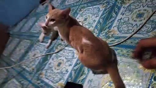 Bonding Time Nakaka Miss