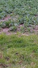 Sortie club une partie du circuit