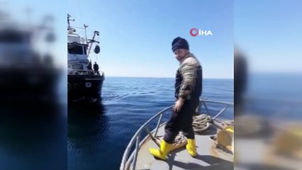 Başka tekne ile kıta değiştiren kedi deniz ortasında sahibine teslim edildi