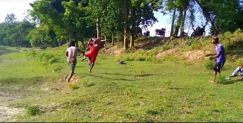 Funny viral videos 2021 | Funny viral videos this week | Funny viral videos punjabi | Try not to laugh challenge