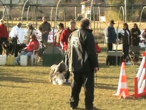 Aubagne 03FEV08 Claude Jumping
