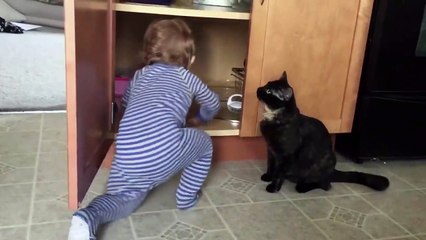 Ce chat se débarrasse d'un bébé gênant