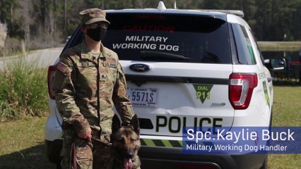 US Military News • 93rd Military Working Dogs Detachment • Perform for K-9 Veterans Day