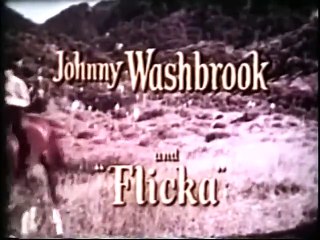 My Friend Flicka  S1E20    The Whip