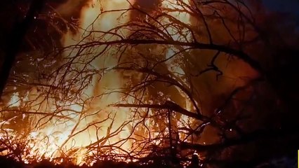 Origins - The Journey of Humankind - Se1 - Ep1 HD Watch