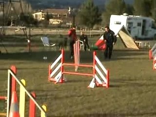 Agility Aubagne Fredo Jumping