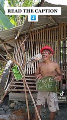 wow kanta pa more