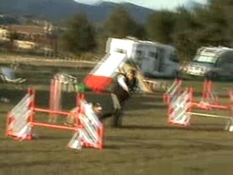 Aubagne 03FEV08 Emilie et Baxter Jumping pour le fun