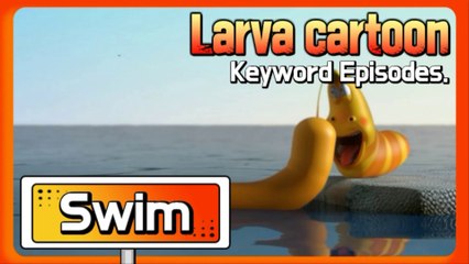 KEYWORD CARTOON | Swimming | Larva Official Channel | Best animation