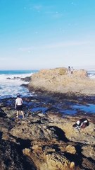 GLASS BEACH ️