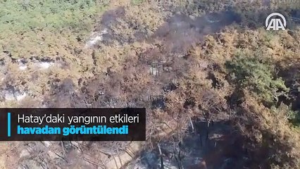 Hatay'daki yangının etkileri havadan görüntülendi
