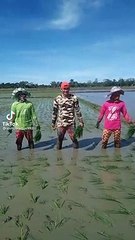 tiktok lang kahit saan