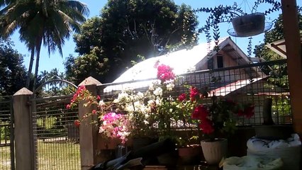 ang raming bulaklak ng lola ku