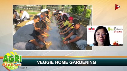 "VEGGIE HOME GARDENING" AGRI Ako D'yan! Ep. 1