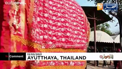 إحتفالات خاصة في تايلاند بمناسبة يوم الفيل الوطني