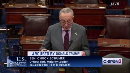 Chuck Schumer's Confession to the President 🐱
