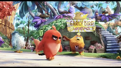 ANGRY BIRDS DER FILM Film